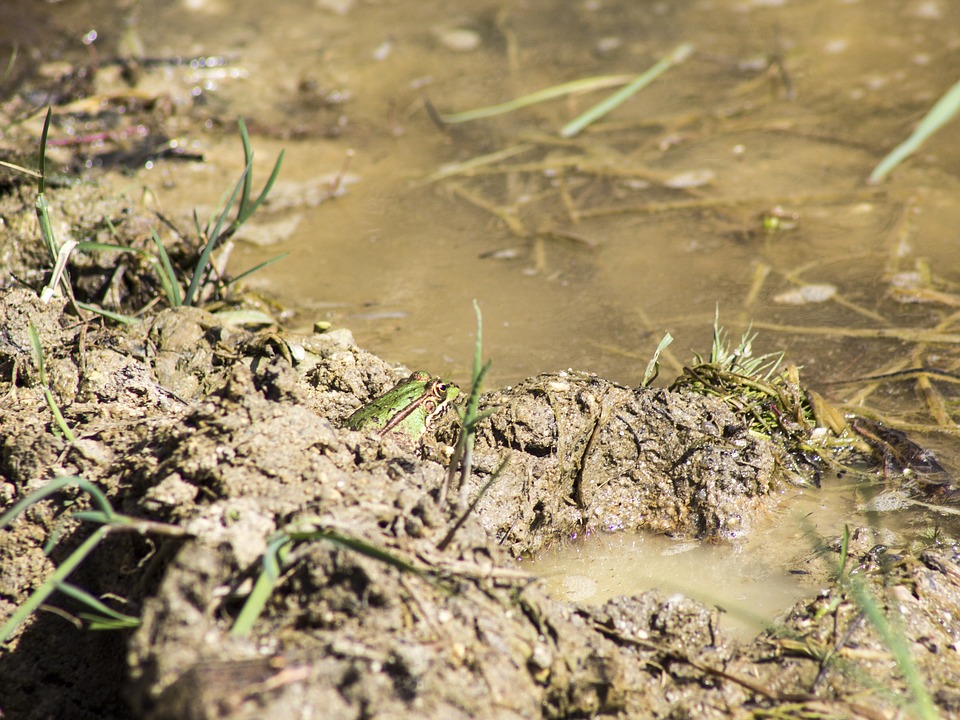 Scientists develop machine that transforms dirty water into drinkable supply