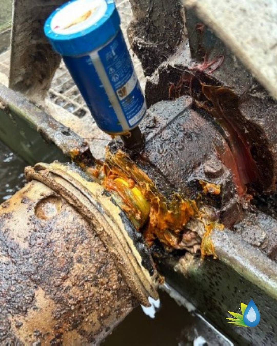 4 Professional Maintenance of a Klargester BJ BioDisc: Precision Greasing & Full System Care